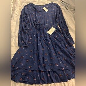 NWT XL Nordstrom Rack Blue and pink floral dress.